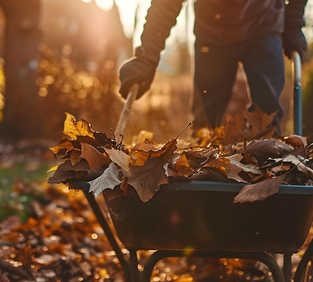 YARD-WASTE-REMOVAL